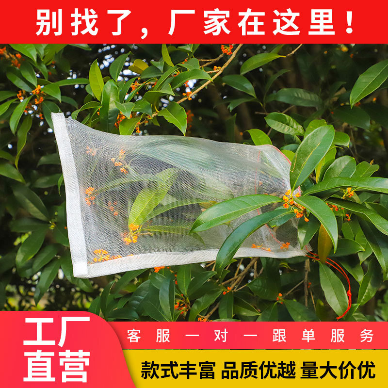 Nhà máy bán túi lưới nylon, ngâm trái nho và túi trái cây, và phân phát sâu bọ vào túi lưới chim.