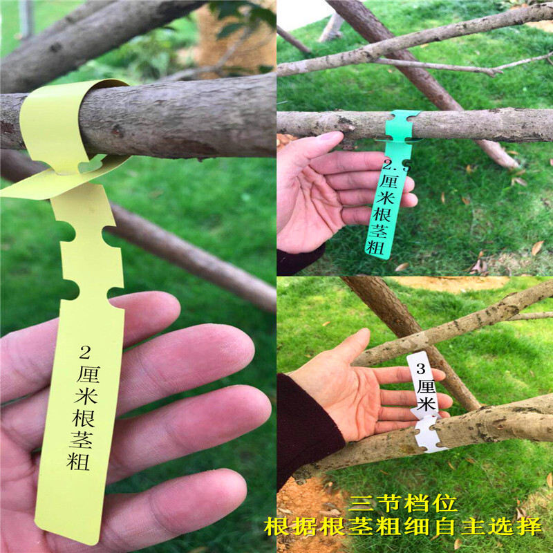 Tất cả các loại vòng chống thấm nước có nhãn hiệu cây trồng