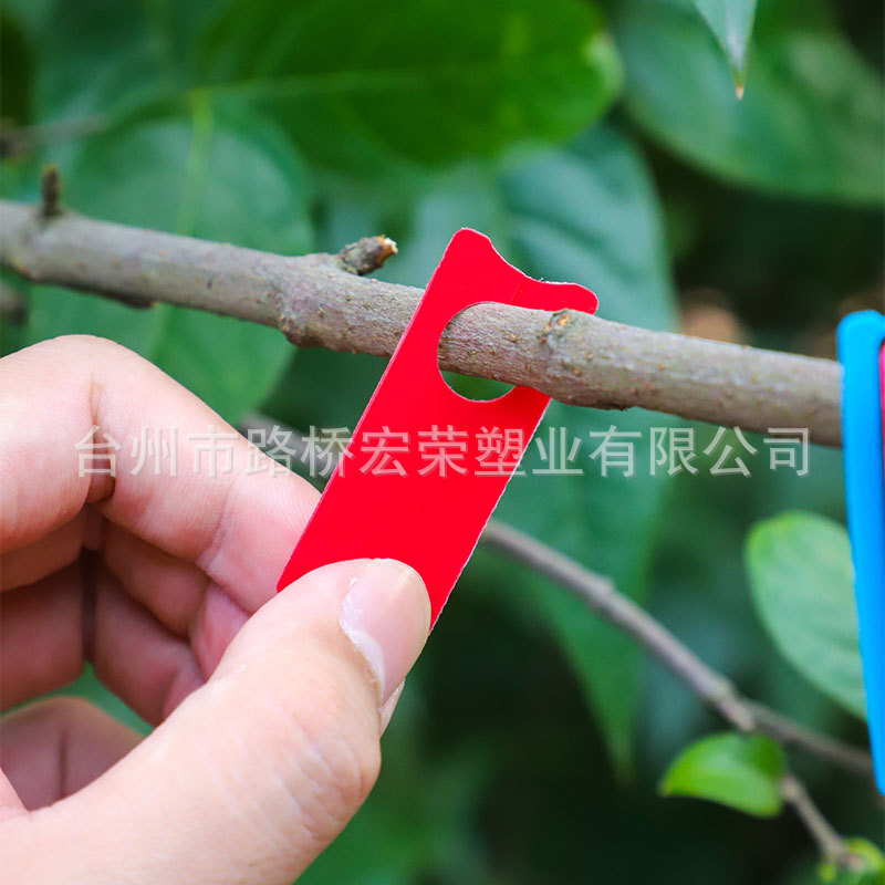 Thiết bị làm vườn có màu sắc.