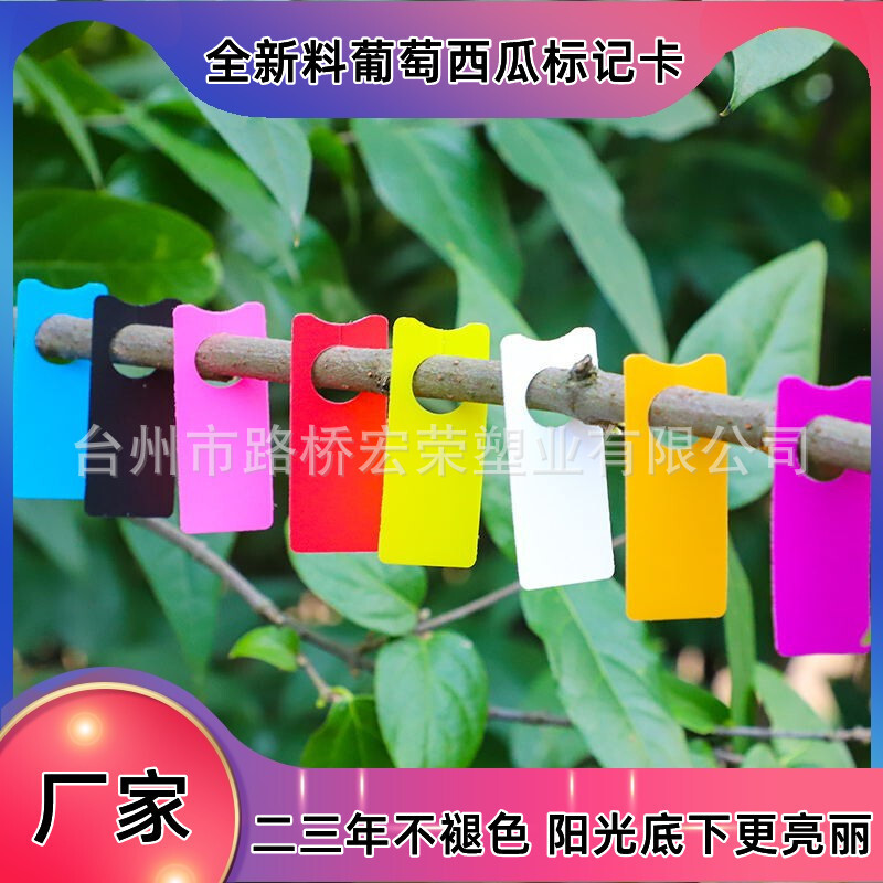 Thiết bị làm vườn có màu sắc.