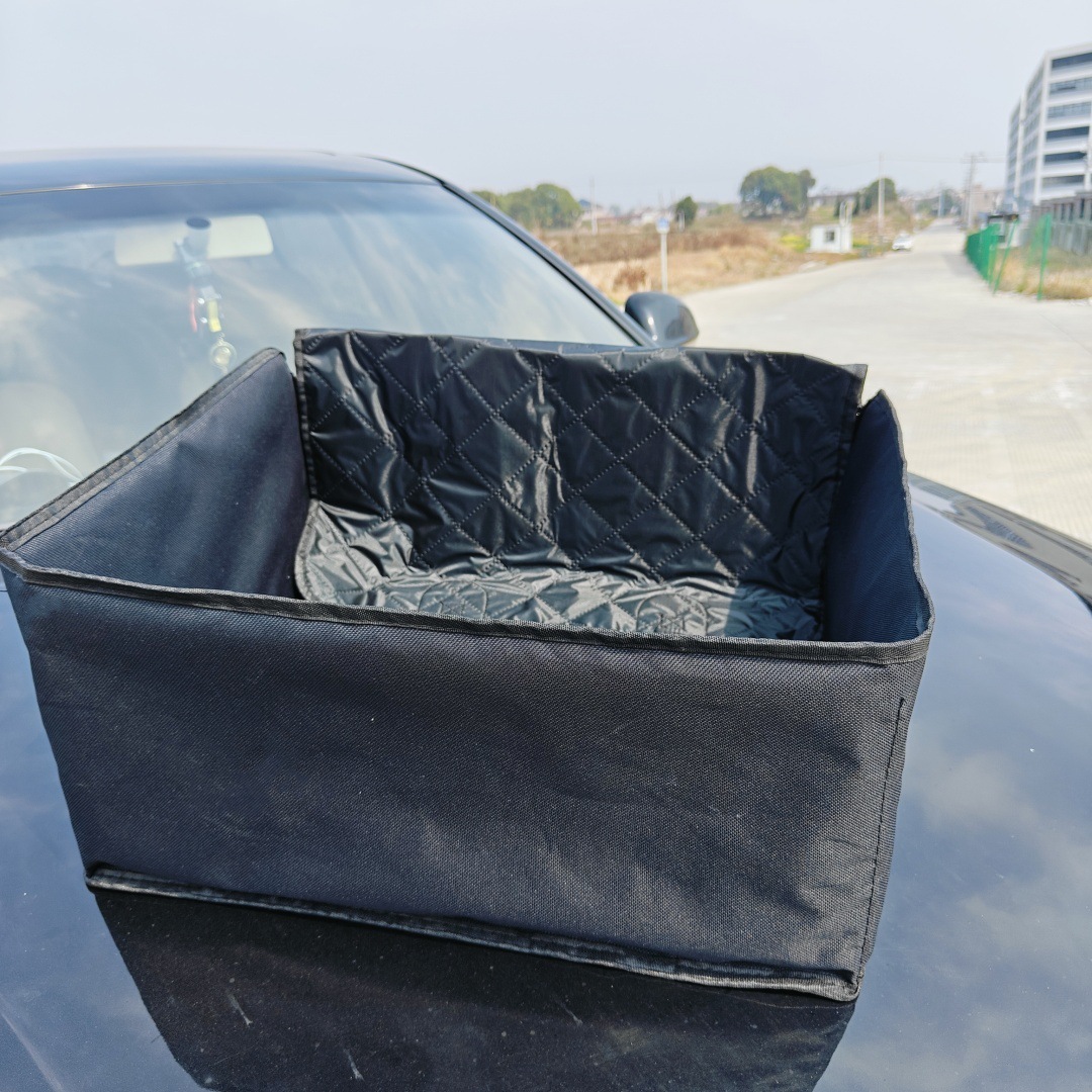 Co-pilot on front of a car with a dirty seat mat.