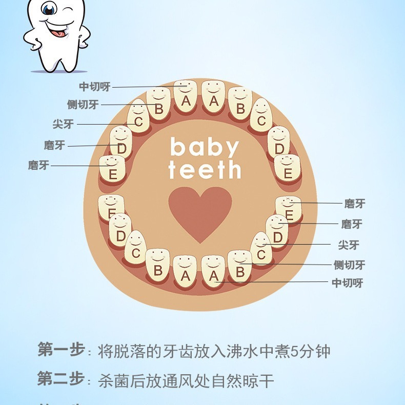 木制乳牙盒 宝宝纪念品胎毛牙齿收纳木盒 英文中文版牙齿木艺礼盒