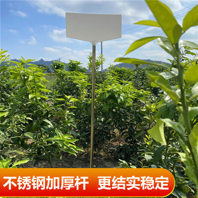 Một dấu hiệu cho nhãn hiệu văn hóa lâu dài và chất dẻo cao cấp cao và cao cấp