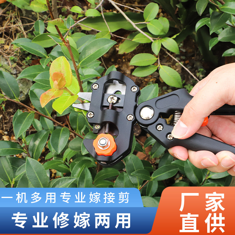 Dụng cụ ấp cây Nhật Bản với máy ấp cây ăn quả