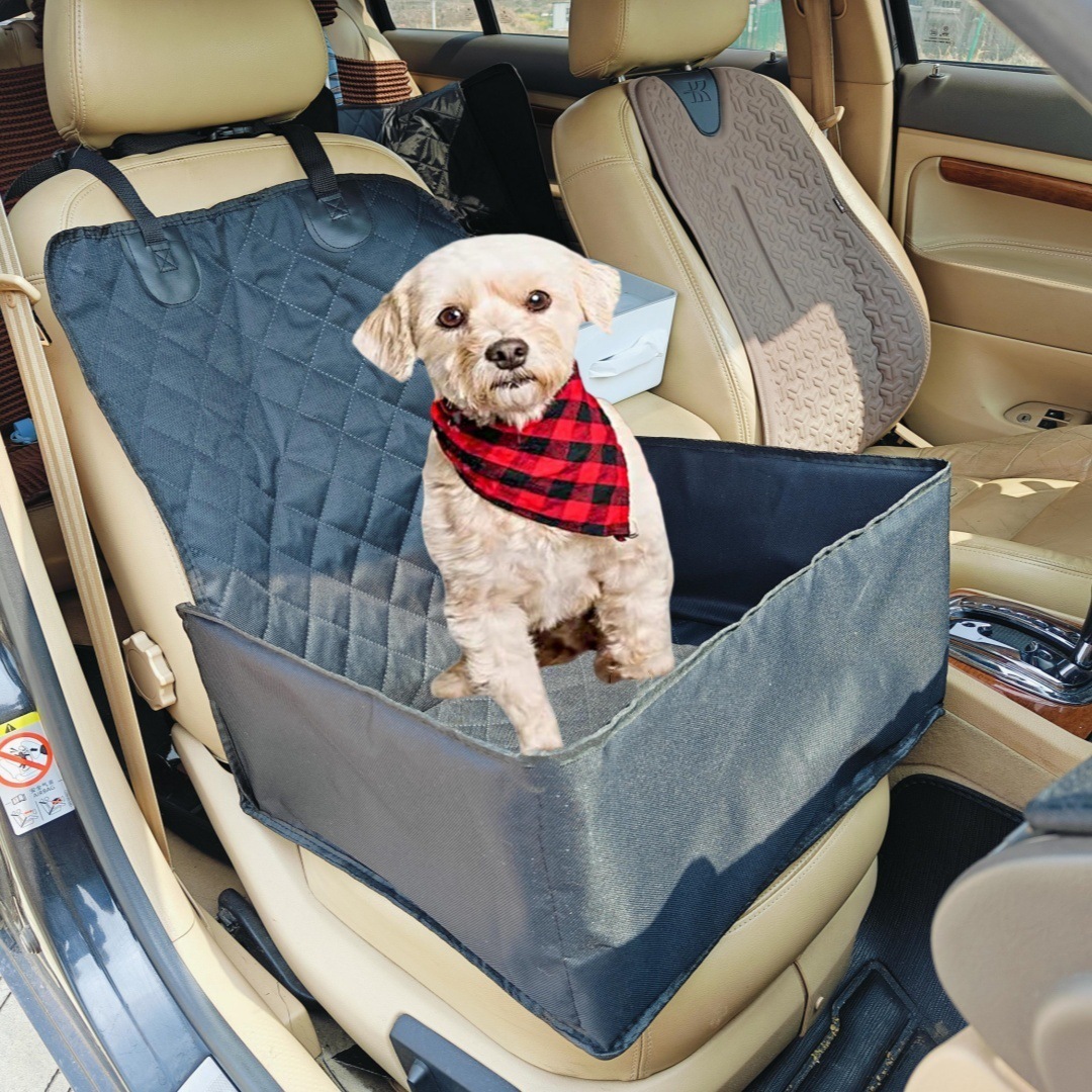 Co-pilot on front of a car with a dirty seat mat.