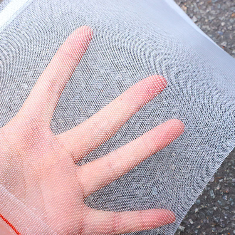 Nhà máy bán túi lưới nylon, ngâm trái nho và túi trái cây, và phân phát sâu bọ vào túi lưới chim.