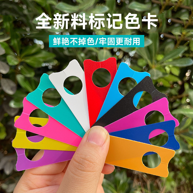 Thẻ hạt, thẻ Cuevaco, thẻ dưa hấu.