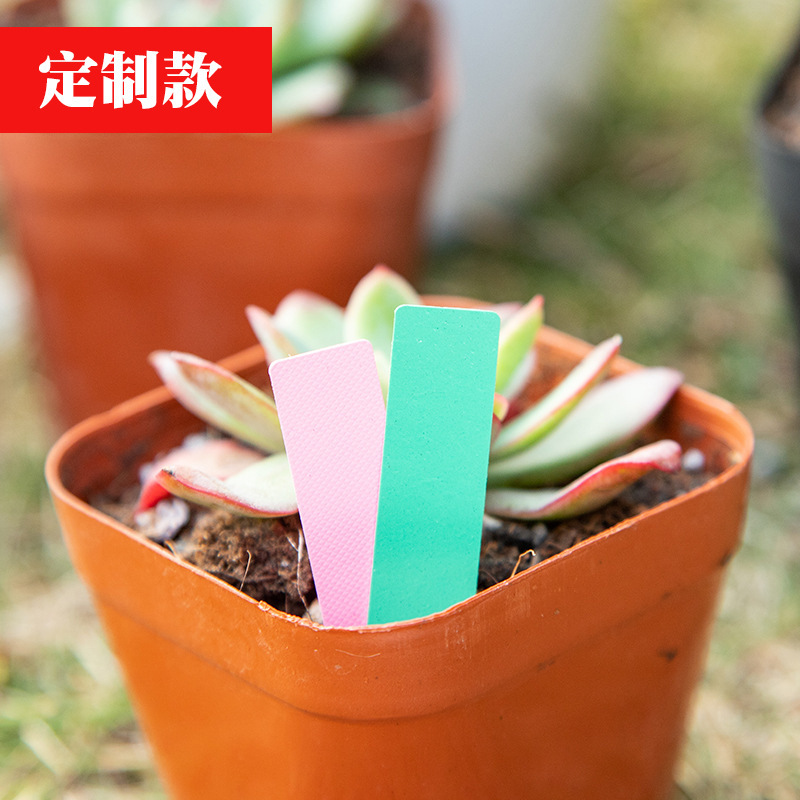 nhãn hiệu Kim tự tháp, nhiều chất béo, đa mạch máu, nhãn hiệu đa mạch máu, bó hoa văn hóa.