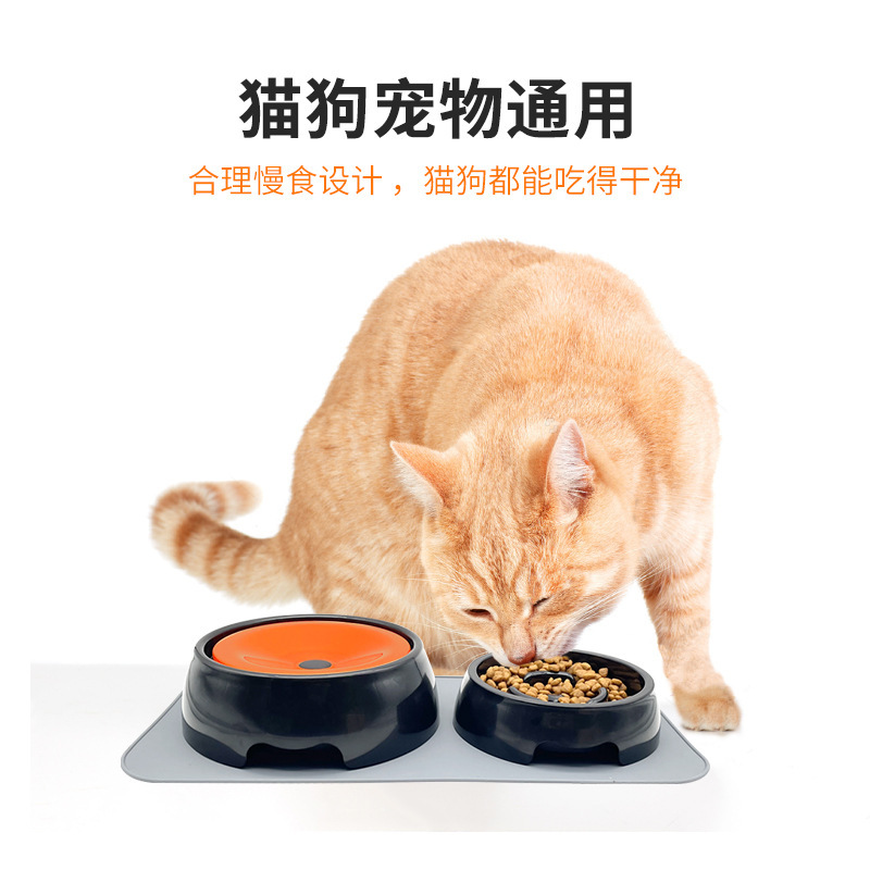 Nó tốt cho thú nuôi ăn chậm chó uống nước với thức ăn cho mèo và nước uống hai lần chống lại chó con.