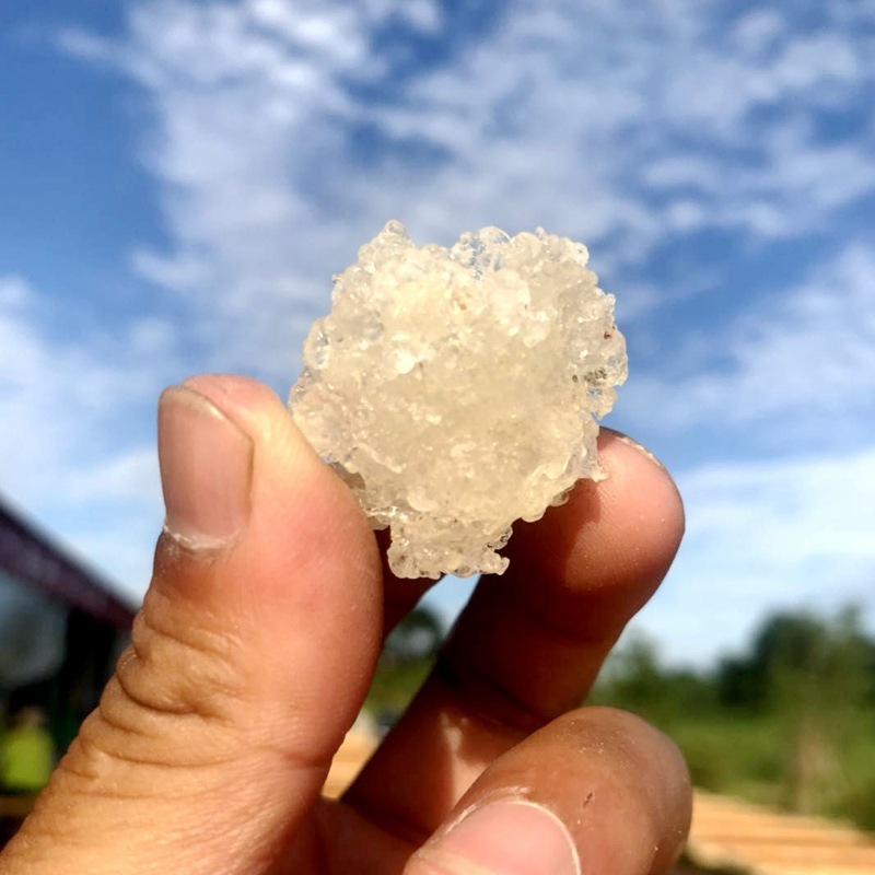 源頭產地直批植物燕窩拉絲雪燕可搭配桃膠皁角米雪燕糖水膠原組合