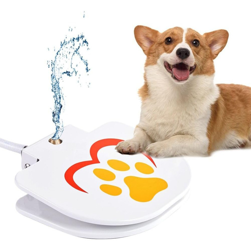 Những con chó trong nhà máy lấy nước và đồ chơi.