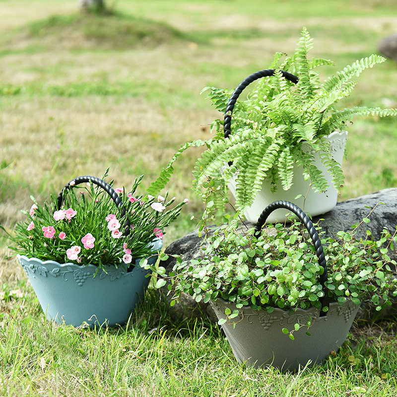 Ý tưởng trực tiếp của nhà máy là thêm vào một giỏ trái cây và một giỏ rau với một chậu nhựa dính trên tay.