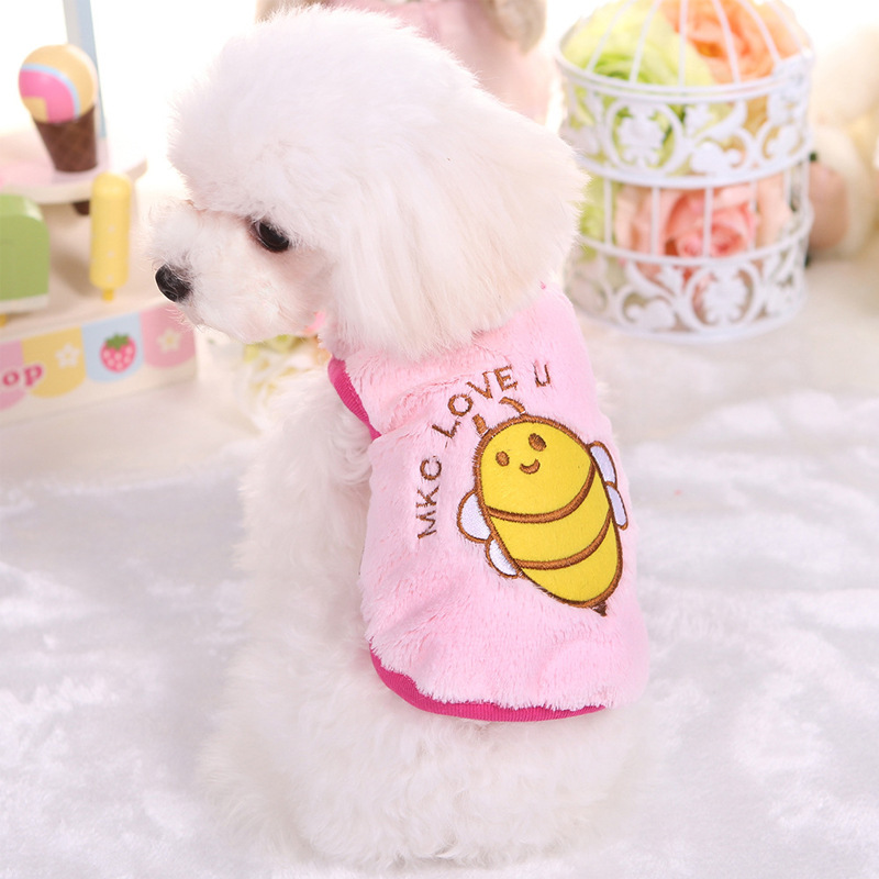 Một con chó cưng mới, VIP của Teddy. Yorkshire, một con chó con, một cái váy chó sữa, một cái váy cún con.