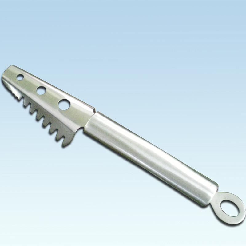 A daily tool for stainless steel fish to dephosphates kitchen