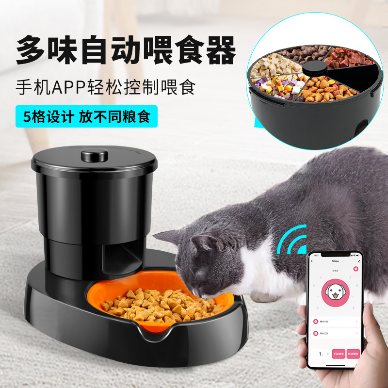 Đồ ăn tự động cho mèo ăn.