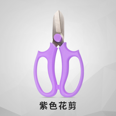 Nó dành cho nhà máy, người bán hoa, người bán hoa, người bán hoa, gia đình, người làm vườn.