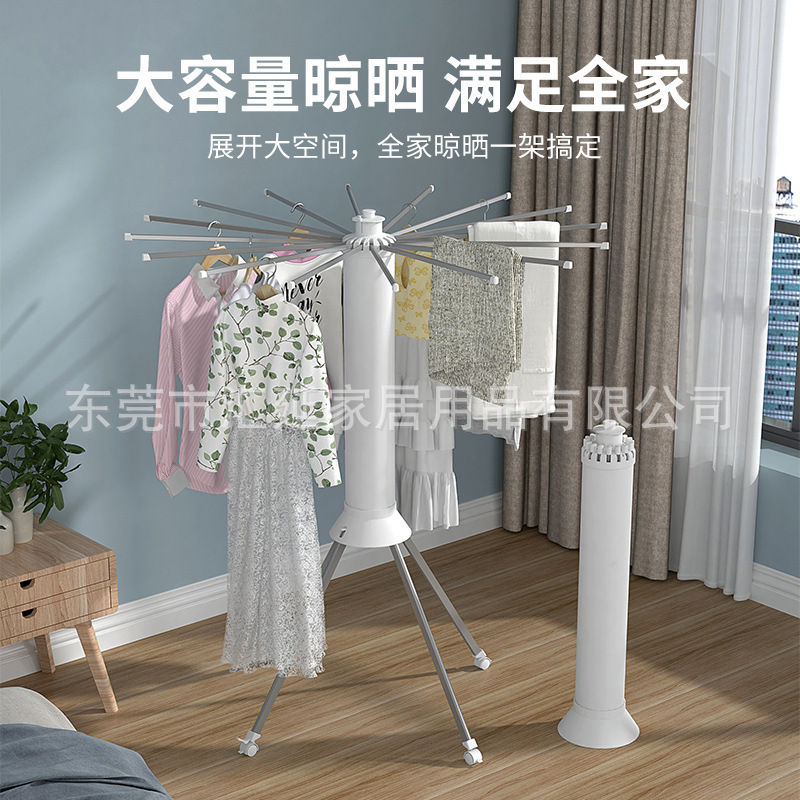Nhà máy treo cổ bạch tuộc nằm ở ban công bên trong xưởng thuộc da.