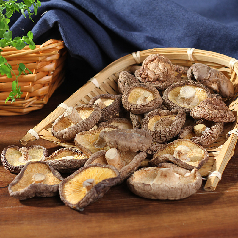 Những cây nấm khô ở Yunnan 500g đầu núi cao với nấm khô và nấm sống.