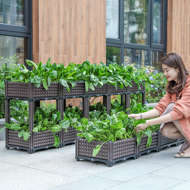Một nhà máy thực vật gia đình với máy phân tích gia tốc và một chậu bông hoa hình chữ nhật