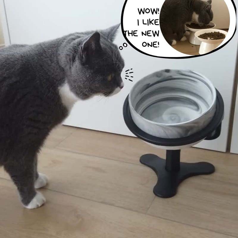 Toàn bộ các nhà máy có thể điều chỉnh bát chó từ 0 đến 20 độ nghiêng cho cái bát đựng thức ăn của mèo cổ, cái bát nhựa ABS.