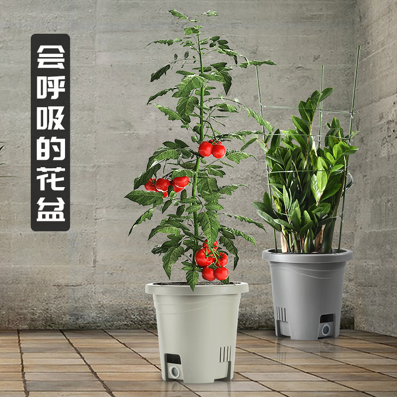 Nông nghiệp trồng dâu với sản phẩm có bằng sáng chế cho những người lười biếng ở mực nước