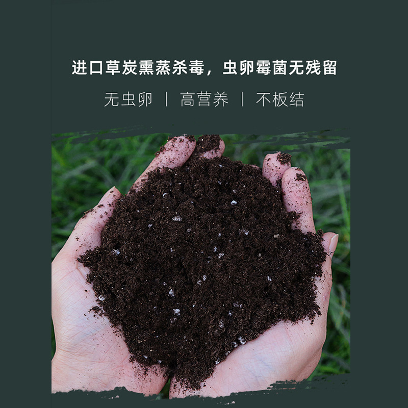 Những bó hoa hương thảo, bó hoa bó hoa, bó hoa bó hoa, bó hoa và bó hoa