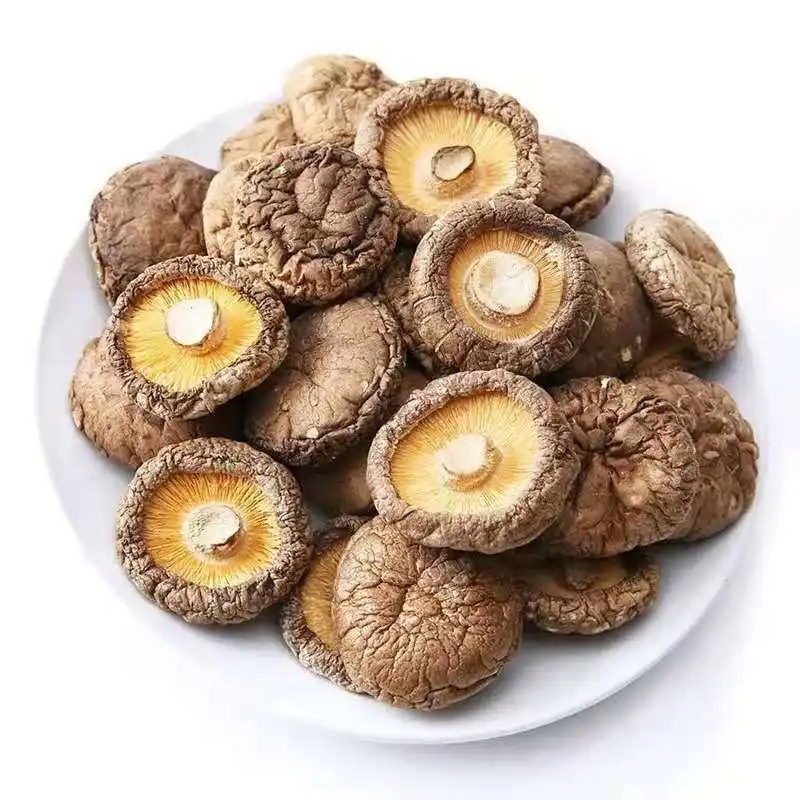 Những cây nấm khô ở Yunnan 500g đầu núi cao với nấm khô và nấm sống.