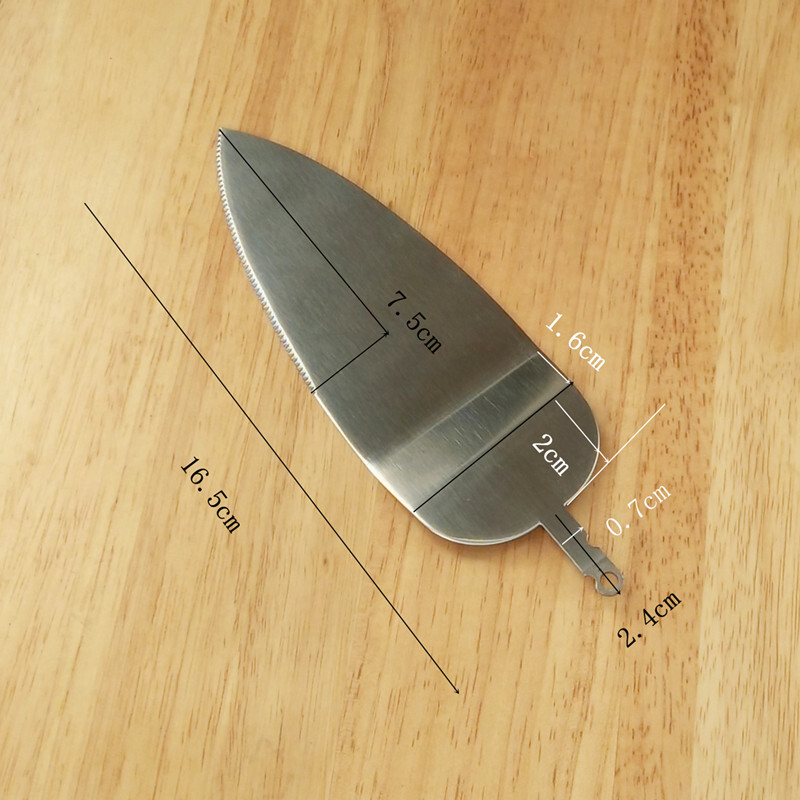 The stainless steel cake shovel.