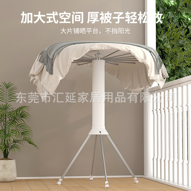 Nhà máy treo cổ bạch tuộc nằm ở ban công bên trong xưởng thuộc da.