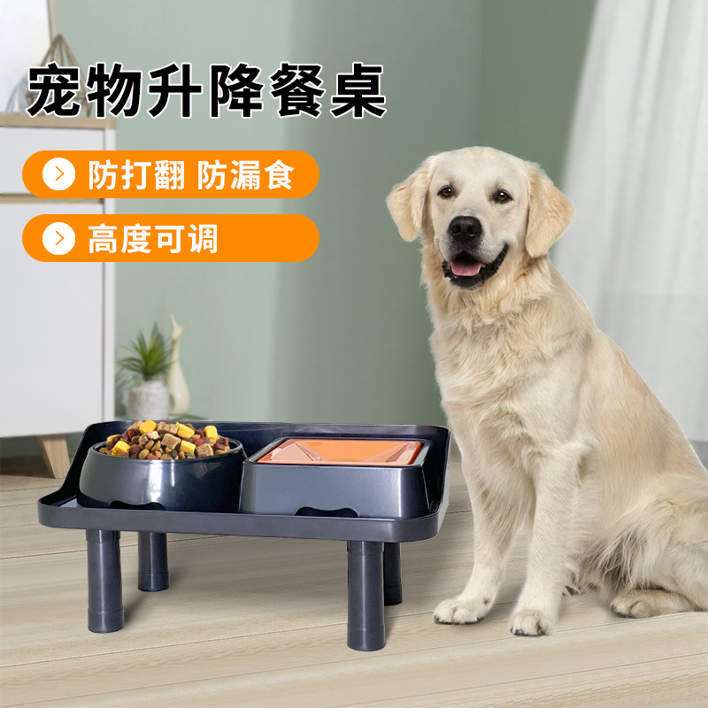 Con chó nuôi làm chậm cái bát, chén đôi, một bàn, bát nước, bảo vệ cổ cao.