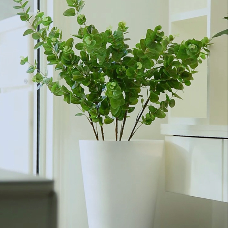 Trại làm vườn của nhà máy là về cao hơn và dày hơn để xay tròn giống như chậu hoa nhựa.