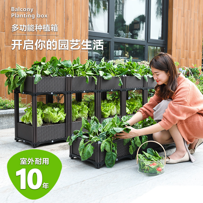 1 giỏ rau tiên phong với những viên vuông vuông vuông bằng những giỏ rau
