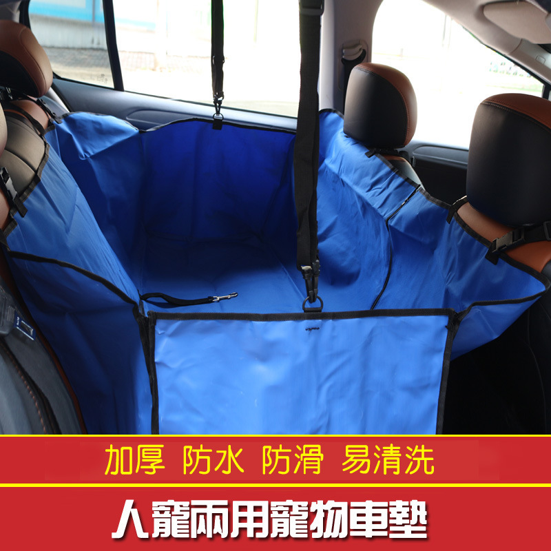 Chiếc xe chở chó trong xe với chiếc xe.