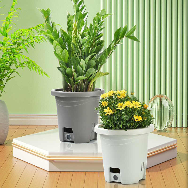Nông nghiệp trồng dâu với sản phẩm có bằng sáng chế cho những người lười biếng ở mực nước