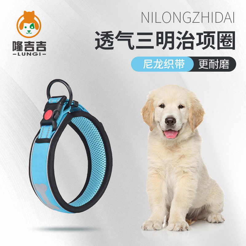 Những con chó nuôi cổ, cổ chó, cổ áo, chó, chó to, không khí ấm áp.