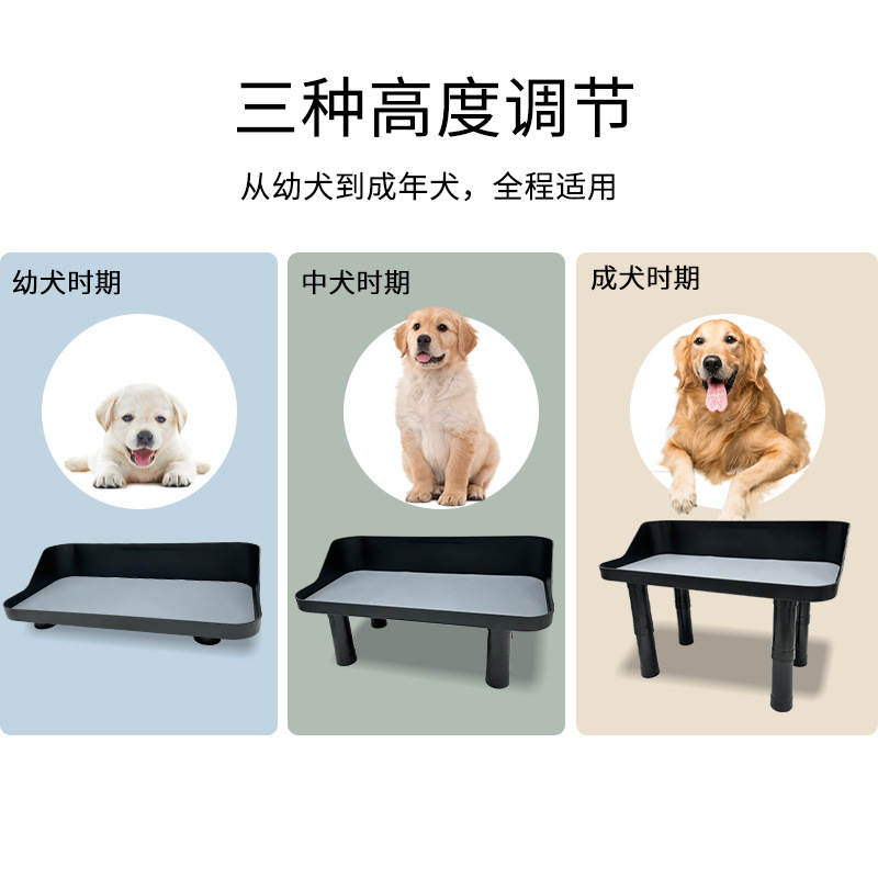 Con chó nuôi làm chậm cái bát, chén đôi, một bàn, bát nước, bảo vệ cổ cao.