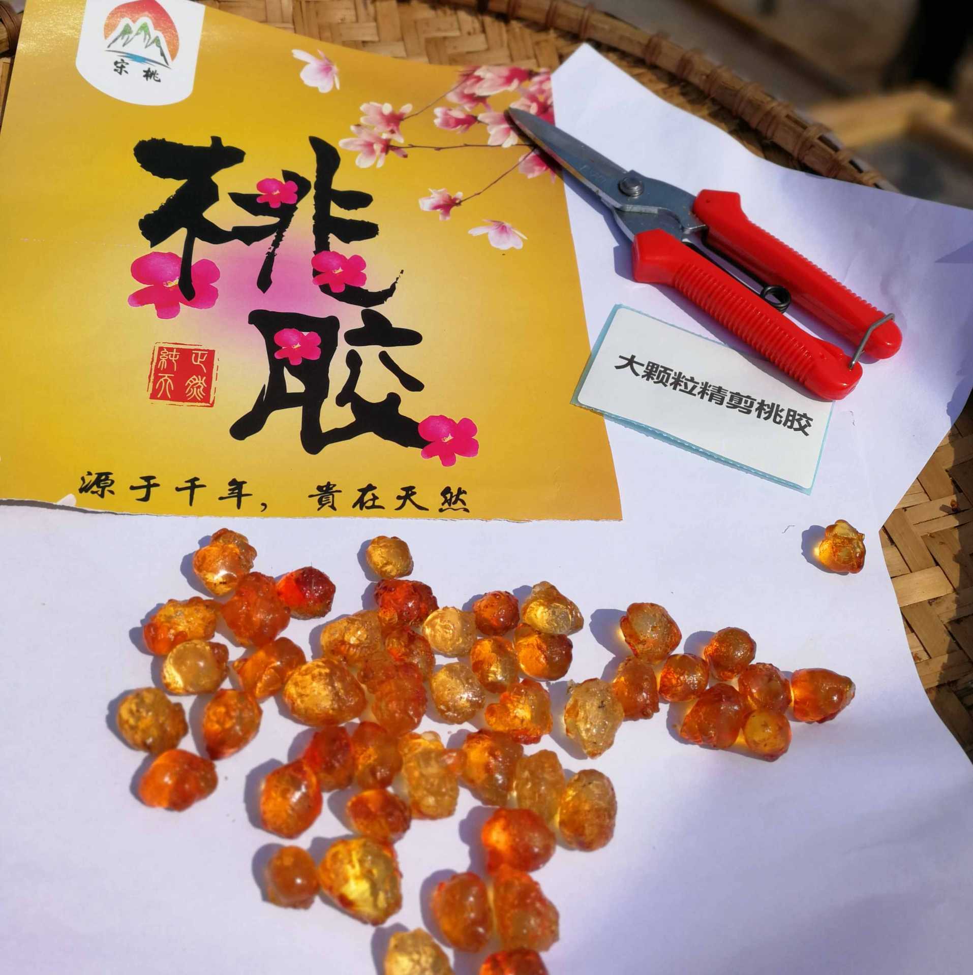 源頭產地直批人工修剪A級大顆粒珍珠桃膠 搭配桃膠皁角米雪燕組合