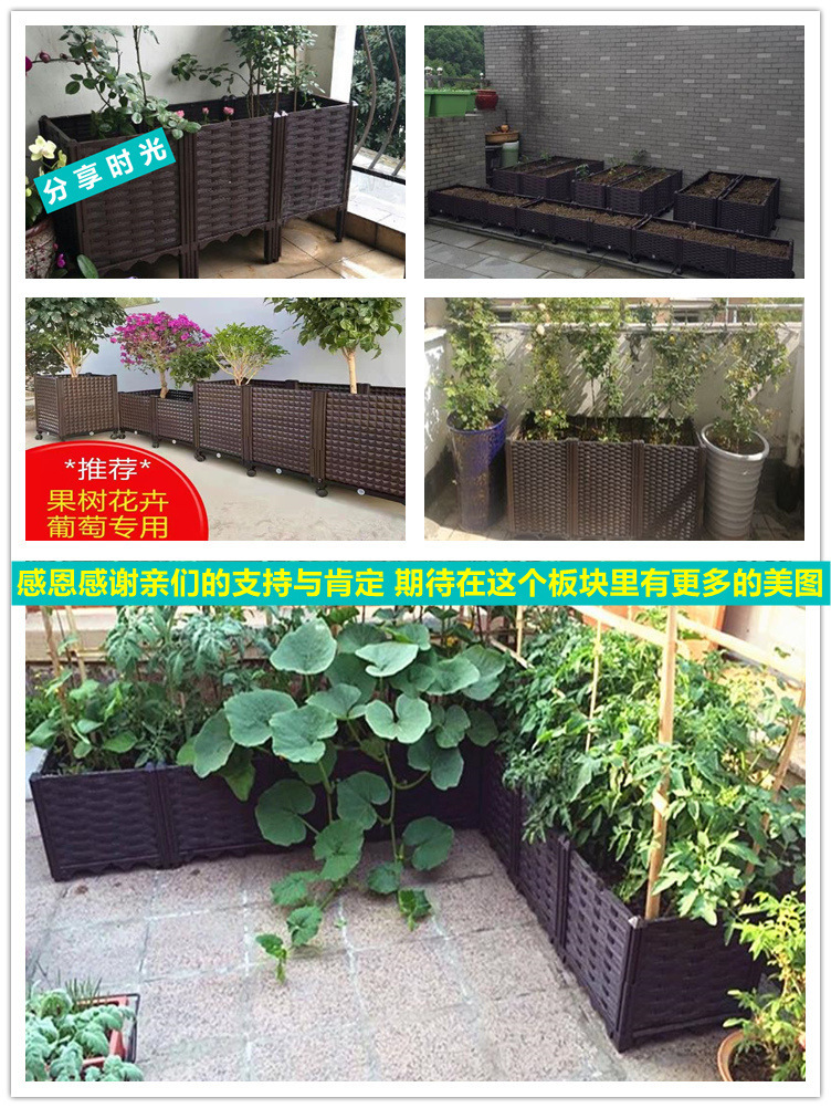 Một nhà máy thực vật gia đình với máy phân tích gia tốc và một chậu bông hoa hình chữ nhật
