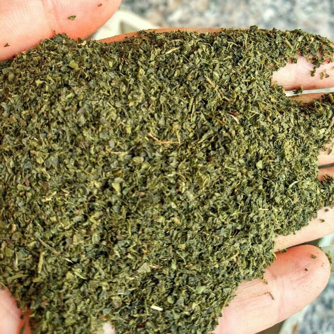 綠碎茶 綠茶片末沫 袋泡茶保健茶原料 各種規格