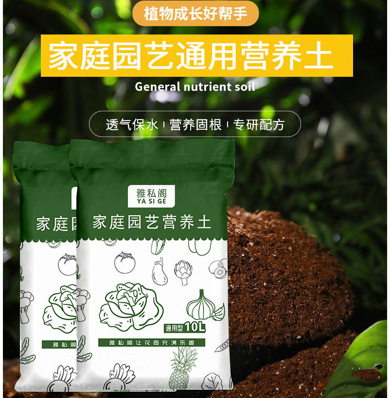 Những bó hoa hương thảo, bó hoa bó hoa, bó hoa bó hoa, bó hoa và bó hoa