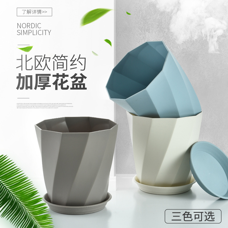 Những sợi xoắn ốc cổ điển của Northerland với cát dày xay trong những đĩa củ cải xanh.