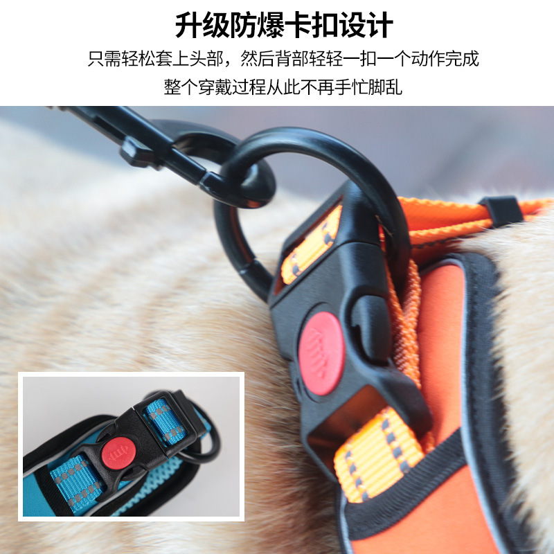 Những con chó nuôi cổ, cổ chó, cổ áo, chó, chó to, không khí ấm áp.