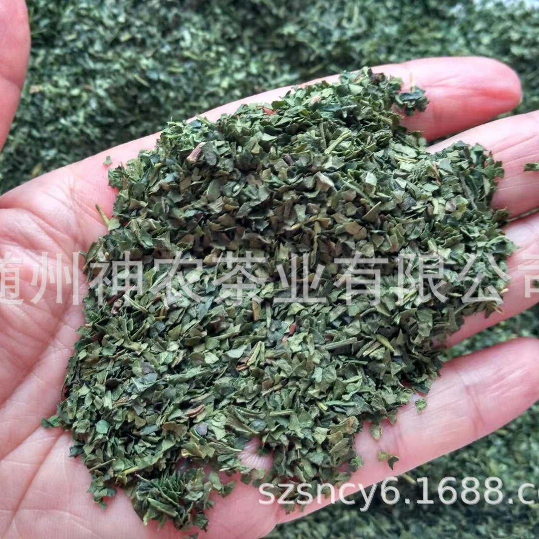 綠碎茶 綠茶片末沫 袋泡茶保健茶原料 各種規格