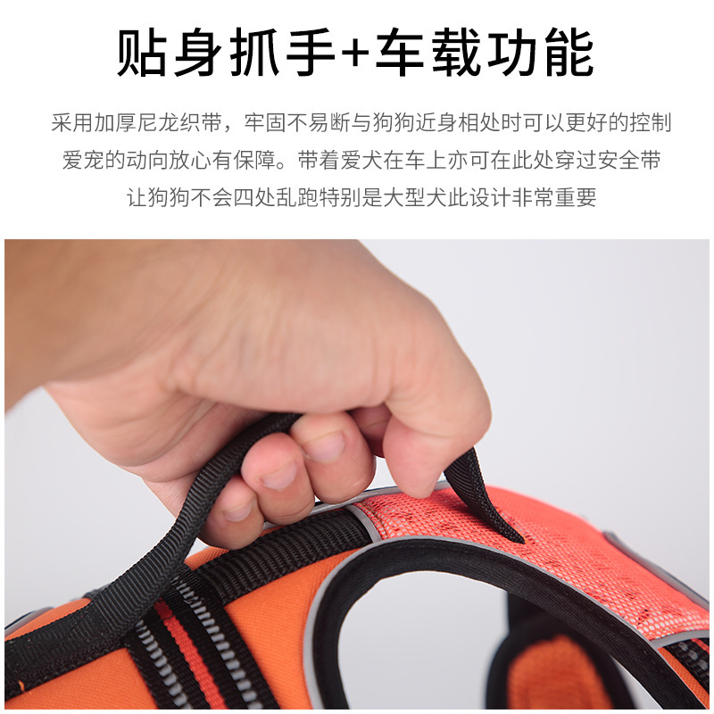 Thắt lưng con chó không bị nổ.