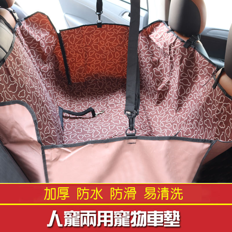 Chiếc xe chở chó trong xe với chiếc xe.