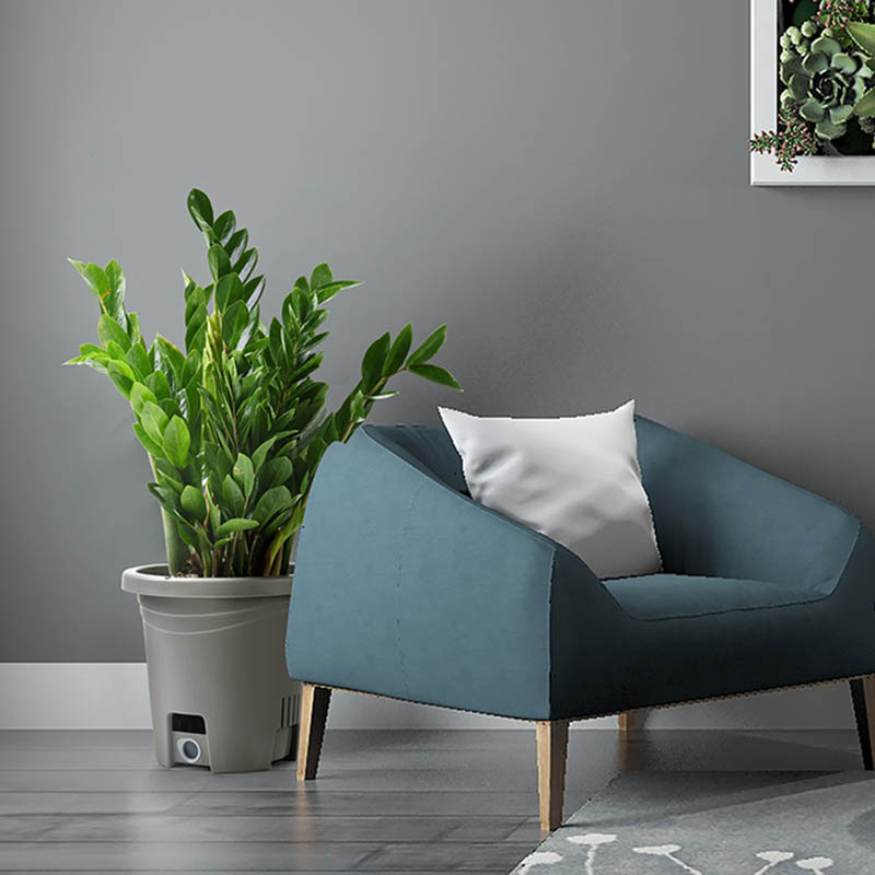 Nông nghiệp trồng dâu với sản phẩm có bằng sáng chế cho những người lười biếng ở mực nước