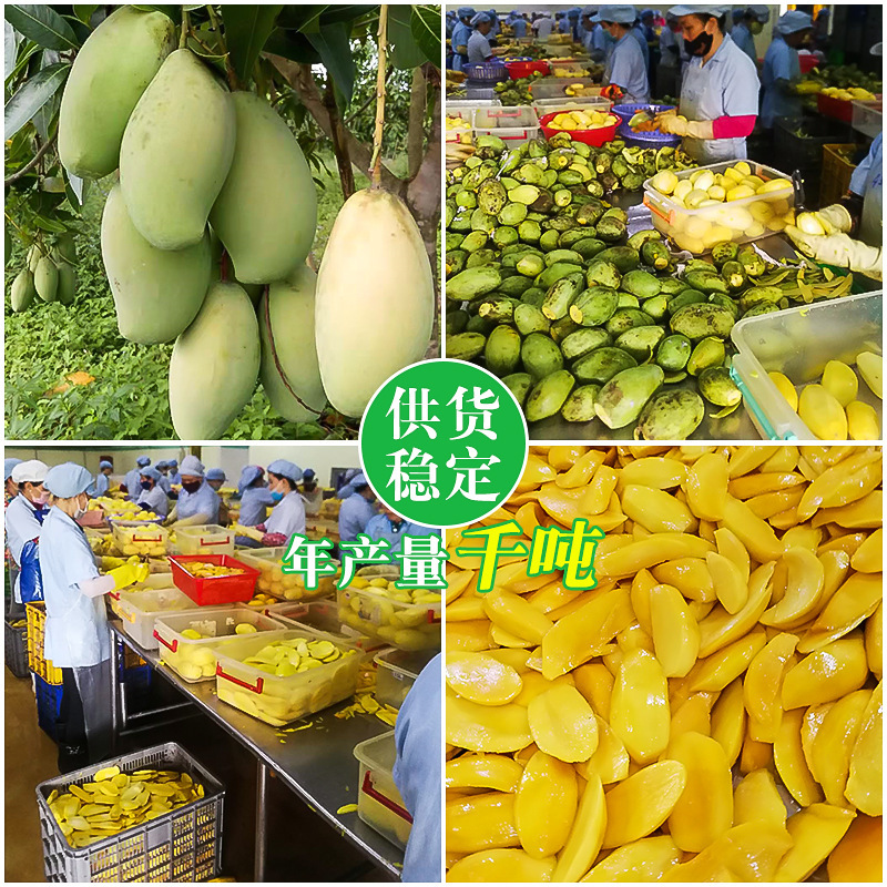 베트남 망고 건조한 대량을 위한 10 kg.