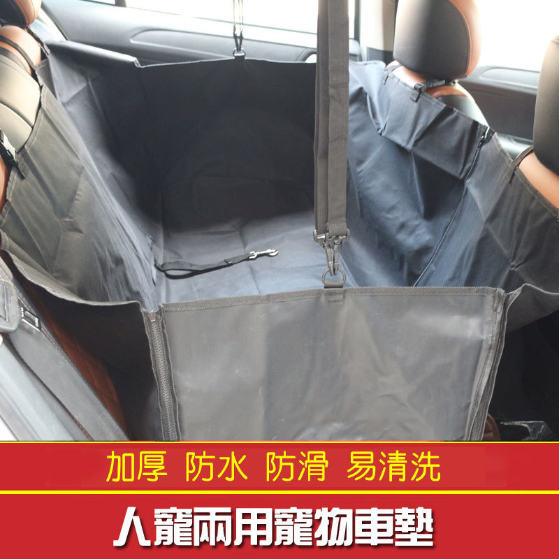 Chiếc xe chở chó trong xe với chiếc xe.