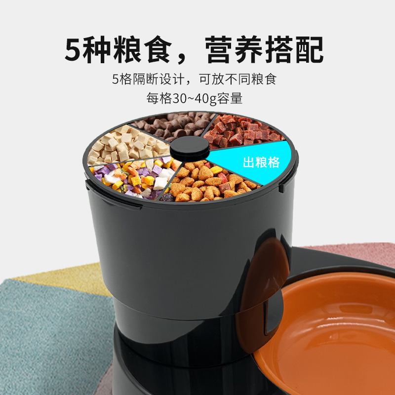 Đồ ăn tự động cho mèo ăn.