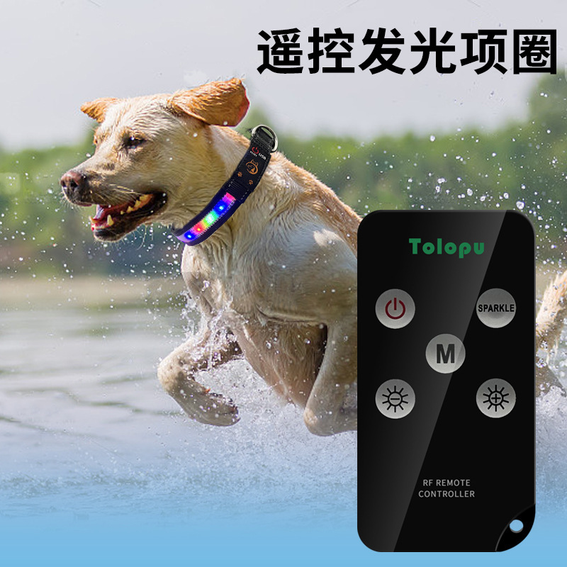 Chương trình bảo vệ thẻ thông tin của chó bằng máy bay từ xa